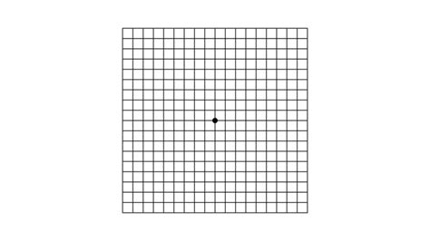 amsler grid interpretation|how to use amsler recording chart.